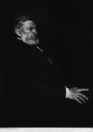 Flechsig Fasikülü — resim 2