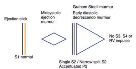 Graham Steel Üfürümü — resim 2