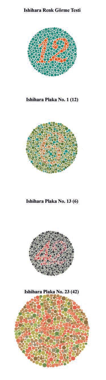 İshihara Testi — resim 2