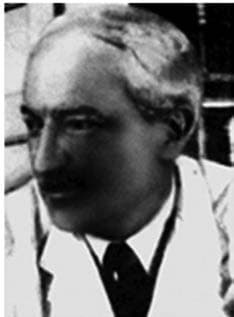 Prausnitz-Küstner Testi — resim 2