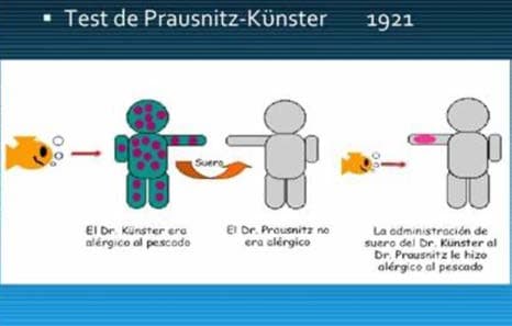 Prausnitz-Küstner Testi — resim 3