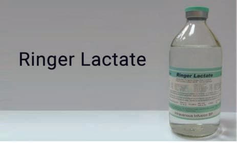 Ringer Laktat — resim 2