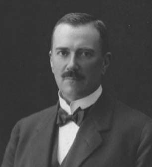 Von Willebrand Faktörü — resim 1