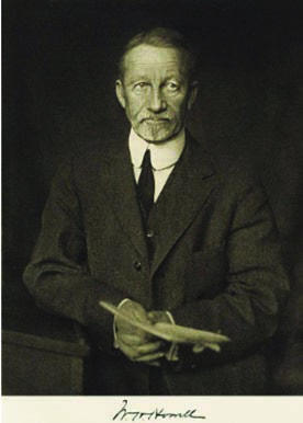 Howell-Jolly Cisimcikleri — resim 1