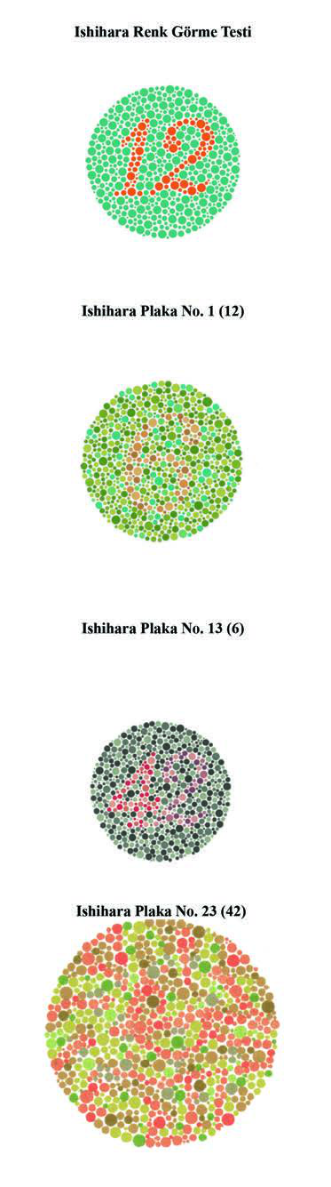 Ishihara Plaka No. 29[a] (bir çizgi kırmızı-yeşil renk  körlüğü olanlar tarafından izlenebilir, ancak başkaları tarafından  izlenemez)