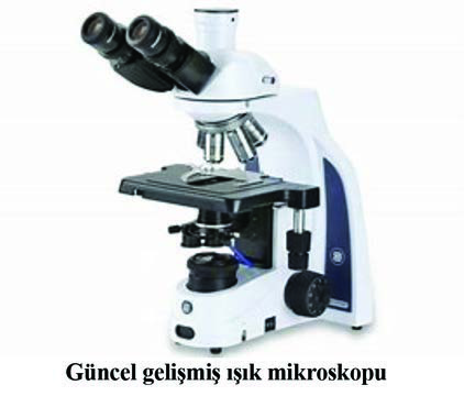 Mikrobiyolojinin Kurucusu ve Mikroskopun Mucidi — resim 3