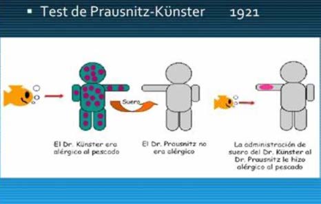Prausnitz-Küstner Testi — resim 3