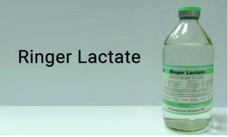 Ringer Laktat — resim 2