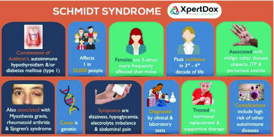 Schmidt Sendromu — resim 2