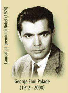 Weibel-Palade Cisimleri — resim 3